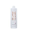 Brae Divine Anti Frizz Trio Especial  (3 Produtos)