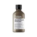 Kit L'Oréal Professionnel Absolut Repair Molecular - Shampoo 300 ml + Leave-in 100 ml