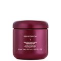 Senscience True Hue Violet Duo Home Care e Inner Restore Intensif Moisture Mask 500ml