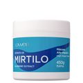 Máscara de Hidratação Lowell Extrato de Mirtilo Alto Impacto 450 g 450 g