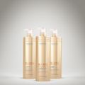 Kit Cadiveu Professional Blonde Reconstructor Shampoo Condicionador Máscara Ox 6v Buriti Mechas e Açai Oil (6 produtos)