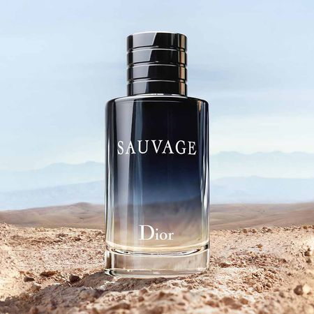 https://epocacosmeticos.vteximg.com.br/arquivos/ids/672472-450-450/sauvage-eau-de-toilette-dior-perfume-masculino-20-4-.jpg.jpg?v=638633214582470000