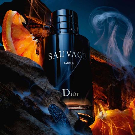 https://epocacosmeticos.vteximg.com.br/arquivos/ids/672707-450-450/refil-sauvage-dior-perfume-masculino-parfum-20-7-.jpg.jpg?v=638633252488570000