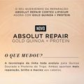 Kit L'Oréal Professionnel Serie Expert Absolut Repair Gold Quinoa + Protein Salon Duo