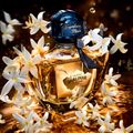 Perfume Shalimar Millesime Guerlain Eau de Parfum Feminino 50ml