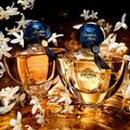 Perfume Shalimar Millesime Guerlain Eau de Parfum Feminino 50ml