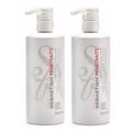 Sebastian Penetraitt Masque Tratamento 500ml - 2 Unidades