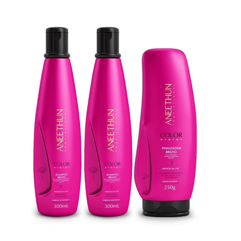 Kit Aneethun Color System - Shampoo 300ml (2 Unidades) +  Finalizador 250g (1 Unidade)