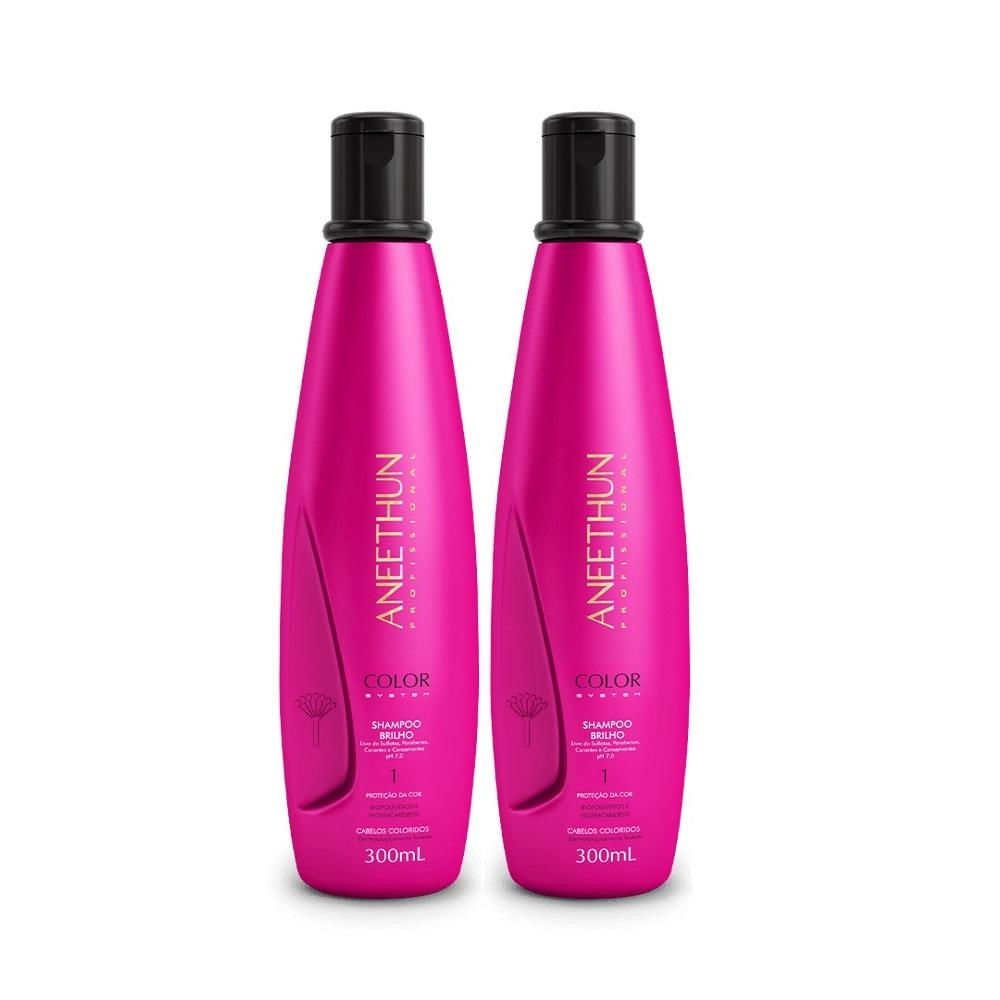 Kit Aneethun Color System - Shampoo 300ml (2 Unidades)