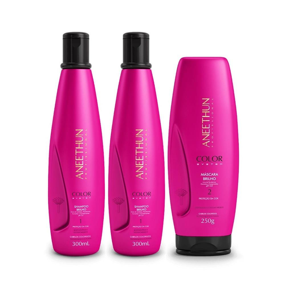 Kit Aneethun Color System - Shampoo 300ml (2 Unidades) + Máscara 250g