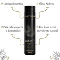 Aneethun Absolute Oil - Kit Shampoo 300ml + Finalizador 210ml