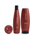 Aneethun Force System - Kit Shampoo 300ml + Máscara 250ml + Dose Concentrada  25g