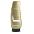 Kit Aneethun Blond System - Shampoo Matizante 300ml + Finalizador Termoativado 250g