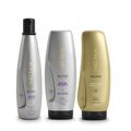 Kit Aneethun Blond System - Shampoo Matizante 300ml + Máscara Matizante 250g + Finalizador Termoativado 250g