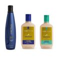 Aneethun Linha A - Kit Shampoo 300 ml + Creme Silicone 250  ml + Creme Silicone Cachos 250 ml