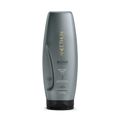 Kit Aneethun Blond System - Shampoo Matizante 300ml + Máscara Cinza 250g