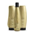 Kit Aneethun Blond System -Shampoo Silver 300ml + Máscara Iluminadora 250g + Finalizador Termoativado 250g