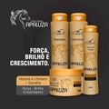 Belkit Apaluza - Kit Fortalecimento e Crescimento (4 Produtos)