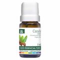 Óleos Essenciais WNF Cedro Juniperus Virginia 5ml