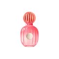 Perfume Banderas The Icon Splendid Feminino Eau de Parfum 50 ml