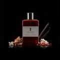 Perfume Banderas The Secret Temptation Masculino Eau de Toilette 50 ml