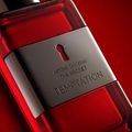 Perfume Banderas The Secret Temptation Masculino Eau de Toilette 50 ml