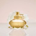 Perfume Shakira S By Feminino Eau de Toilette 50 ml