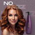 Aneethun No Frizz Shampoo Defrizante 1000ml