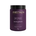 Aneethun No Frizz Máscara Defrizante 1000g