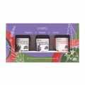 Kit Óleos Vegetais WNF Pronto Para o Corpo 3x30ml