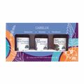 Kit Óleos Vegetais WNF Pronto para o Cabelo 3x30ml