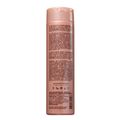 Kit Shampoo e Condicionador Braé Revival 2x250ml
