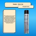Truss Stay Fix Strong Spray Fixador 450ml
