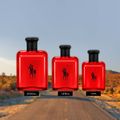Polo Red Ralph Lauren - Perfume Masculino - Eau de Toilette 75ml