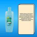 Alfaparf Alta Moda Detox Purify Shampoo 300ml