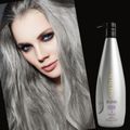 Aneethun Blond Shampoo Matizador 1000ml