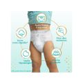 Fralda Pampers Premium Care Tam G 9 a 13kg 136 Unidades G