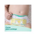 Fralda Pampers Premium Care RN Até 4kg 36 Unidades RN