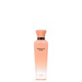 Perfume Adolfo Dominguez Terracota Musk Feminino Eau de Parfum 120 ml Terracota