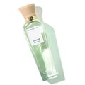 Perfume Adolfo Dominguez Água Fresca de Azahar Feminino Eau de Toilette 120 ml Azahar