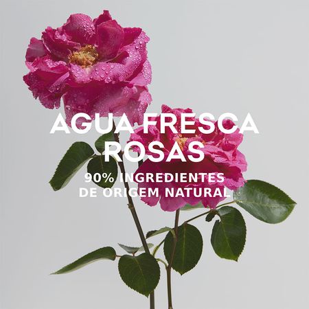 Perfume-Adolfo-Dominguez-Água-Fresca-de-Rosas-Feminino-Eau-de-Toilette-120-ml-Rosas--7