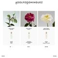 Perfume Adolfo Dominguez Água Fresca de Azahar Feminino Eau de Toilette 120 ml Azahar