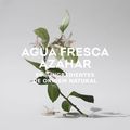 Perfume Adolfo Dominguez Água Fresca de Azahar Feminino Eau de Toilette 120 ml Azahar