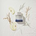 Perfume Banderas King of Seduction Masculino Eau de Toilette 100 ml 100 ml