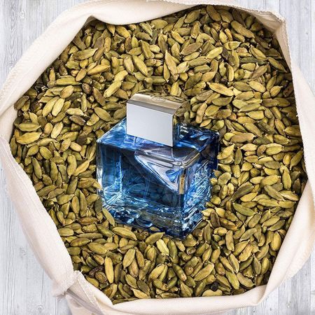 Perfume-Banderas-Blue-Seduction-Masculino-Eau-de-Toilette-50-ml--5