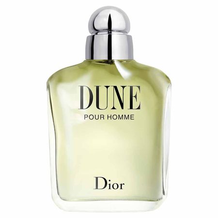 Dune-Pour-Homme-Dior---Perfume-Masculino---Eau-de-Toilette-100ml--1