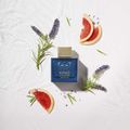 Perfume Banderas King of Seduction Absolute Masculino Eau de Toilette 100 ml 100 ml