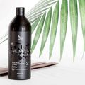 Zap Me Leva Black - Progressiva Ceramidas e Sericina 500ml