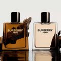 Burberry Hero Eau de Toilette - Perfume Masculino 100ml