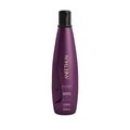 Kit Aneethun No Frizz - Shampoo 300ml + Leave In Selante 120ml